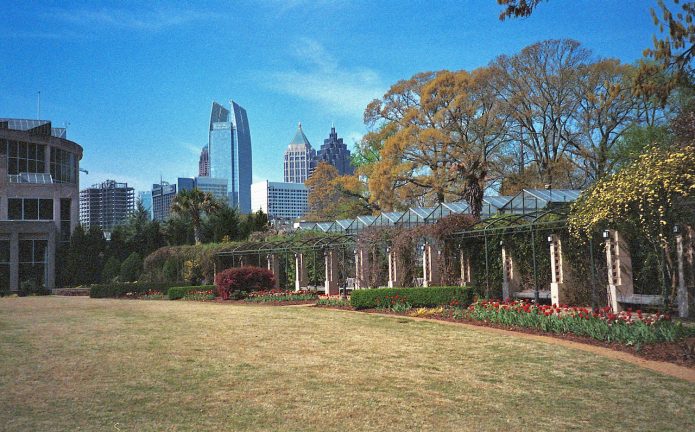 ArborWalk_Skyline – Earth, Sun, Film